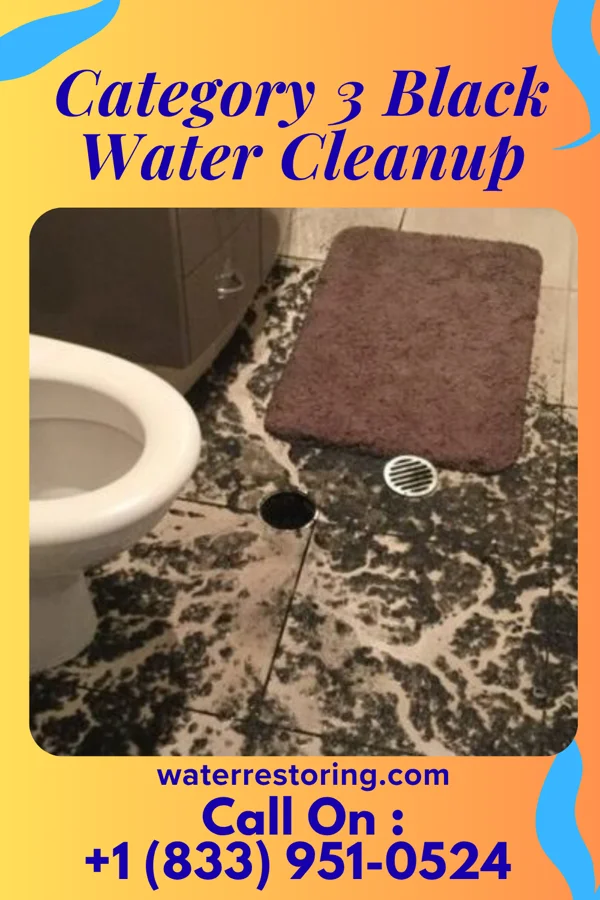 Category 3 Black Water Cleanup in Rankin, PA