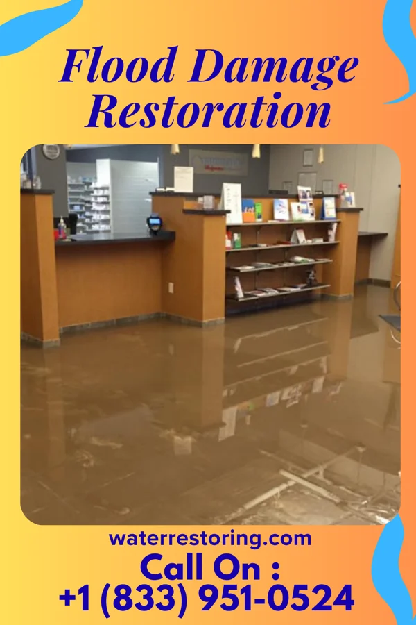 Flood Damage Restoration in Rankin, PA