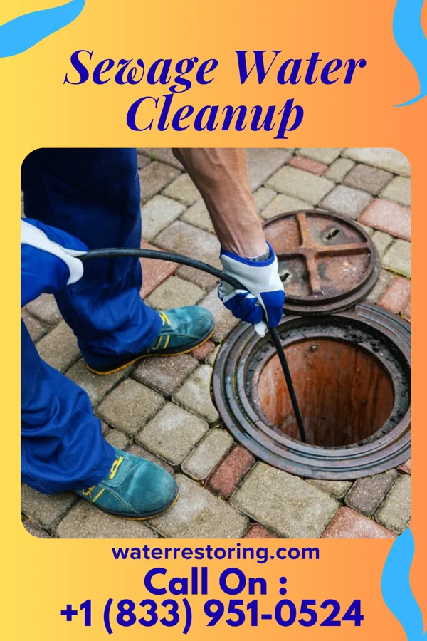 Sewage Water Cleanup in Rankin, PA