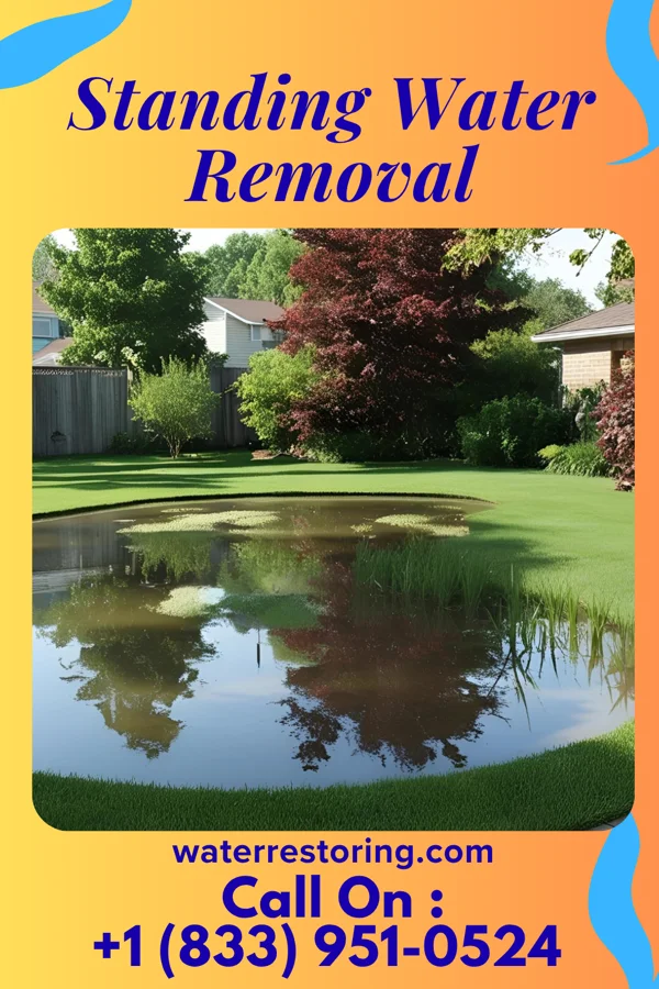 Standing Water Removal in Rankin, PA